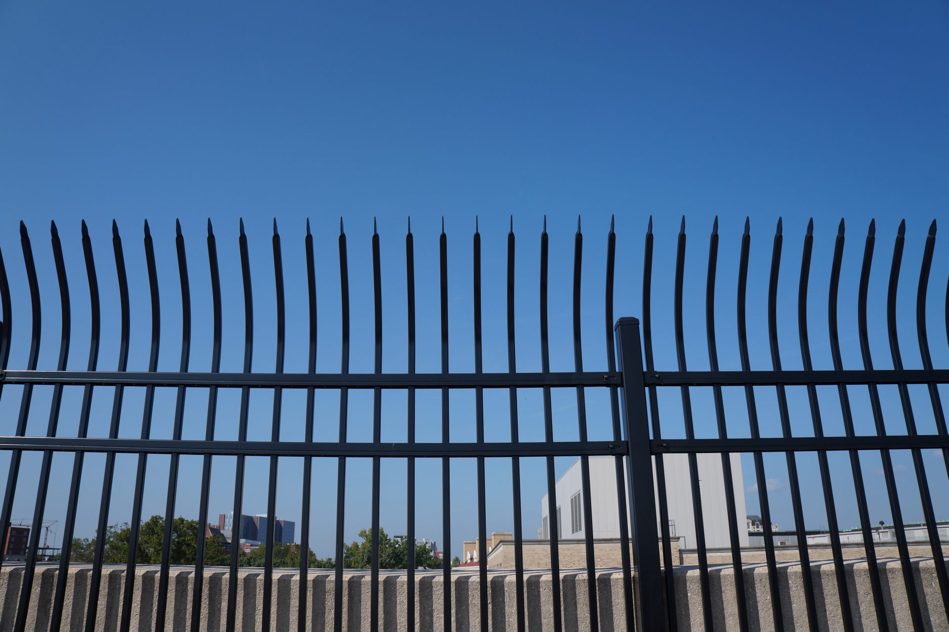 Ohio state dissertation picture