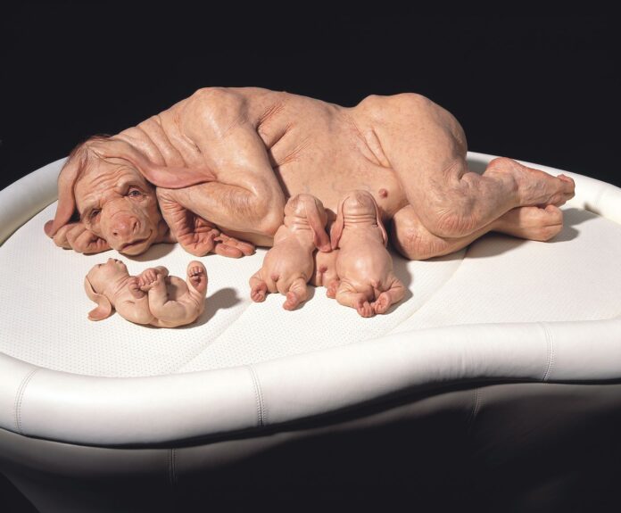 The Young Family by Patricia Piccinini