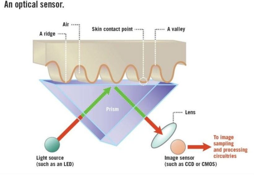 Optical fingerprint sensor